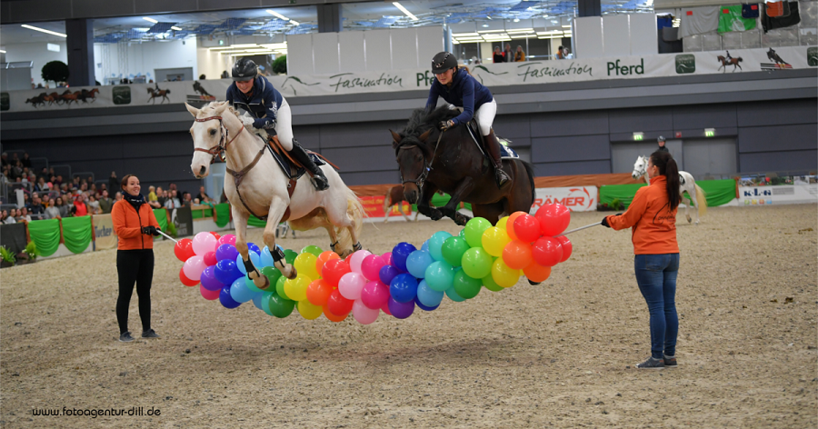 馬展，德國馬展，馬匹比賽